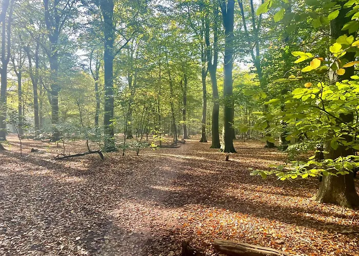 Elly\'S Broekhuisje